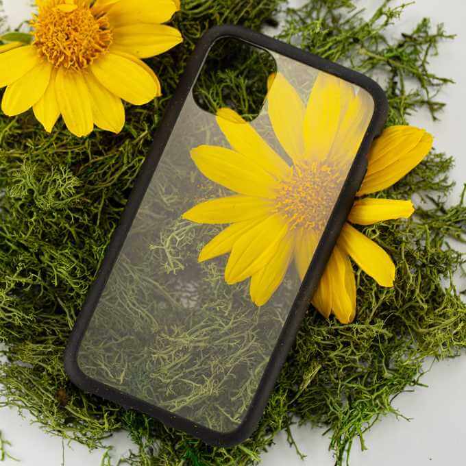 Clear phone case with black ridge by Pela Case